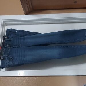 Torrid Denim Jegging Sz 20S
